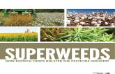 EU Version - Superweeds: How Biotech Crops Bolster the Pesticide Industry