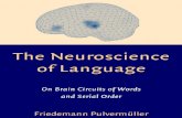 (Cambridge Companions to Philosophy) Pulvermueller F.-the Neuroscience of Language-CUP (2002)