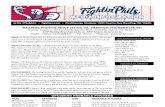 080413 Reading Fightins Game Notes