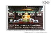Wisdom Develops Samadhi - Daham Vila