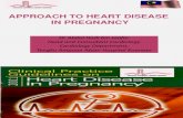 Heart Diz in Pregnancy2013O&Gperlis