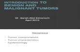 Introduction to Benign and Malignant Tumors