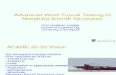 1-Advanced Wind Tunnel Testing of Morphing Aircraft Structures