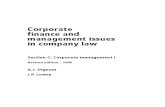 Corporate Finance Management Issues - c