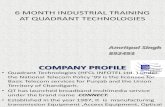 Six Month Industrial Training at Quadrant Technologies