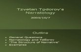 Todorov report