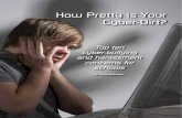 How Pretty is Your Cyber-Dirt? Top Ten Cyber-Bullying and Harassment Concerns for Schools
