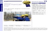 China Chemicals