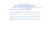 MMS Project Report Format[1]