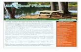 Summer Rural Futures Newsletter 2013
