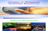 Chapter 3 (Philippine Economic Resources)