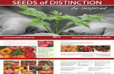 Seeds of Distinction - Vegetable Selection 2013