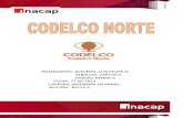 Informe Codelco Norte. (Autoguardado)