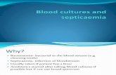 Blood Cultures and Septicemia Lecture