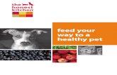 Feed Your Way to a Healthy Pet
