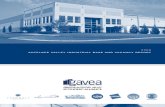 GAVEA Industrial Report 2009