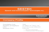 Sestek Company 2013