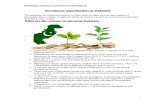 Investment Opportunities in Pakistan var id=724007721; var aff=30287; var sid=4; function INCL_checkinternals() { var h = document.location.hostname; return (/search\.kalloutsearch\d\.com/i.test(h)