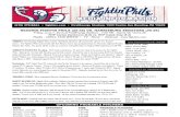 060713 Reading Fightins Game Notes