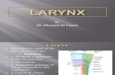 23 Larynx 1