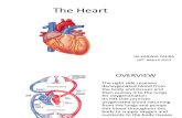 The Heart 16th March 13