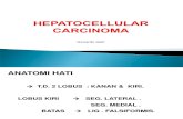 a12. Hepatoma (HCC)