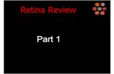 Retina Review - 1