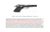The Second Amendment Part 2