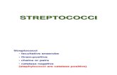 Streptococci Aak