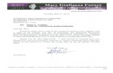 SDWNY: Erie County Family Court Endorsement Questionnaire: Mary Giallanza Carney (2013)