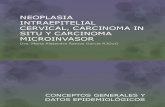 Neoplasia Intraepitelial Cervical, Carcinoma in Situ y