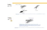 Artesanato - Aprendendo a Desenhar - Aves