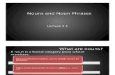 Lecture 2.1 - Nouns and Noun Phrases
