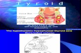 Stikes Akbid tiroid