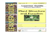 Plant Structure and Function - Learner's Guide