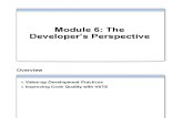 Module 6 the Developer's Perspective