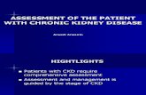 Assessment Patient Ckd Hd_arwedi