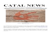 Çatal News 2010