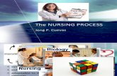 17033331 the Nursing Process Shorter Version