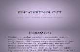 Endokrinoloji 1