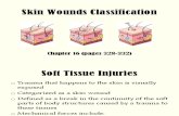 Skin Wounds Classifications Full
