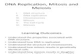 DNA Replication Mitosis Meiosis Sp'13