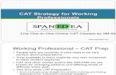 SpanEDea - Cat Strategy for Working Professional