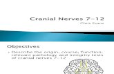 Cranial Nerves 7-12