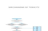 Mechanism of Toxicity