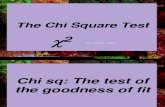 The Chi Square Test.ppt