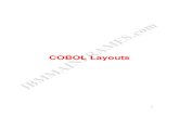 COBOL Layouts