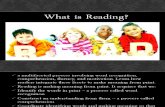 What is Reading and Vocabulary