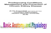 Predisposing Conditions, Management and Prevention of Chronic Kidney Disease..ppt