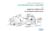Mobilizing Capital